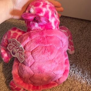 Pink Turtle